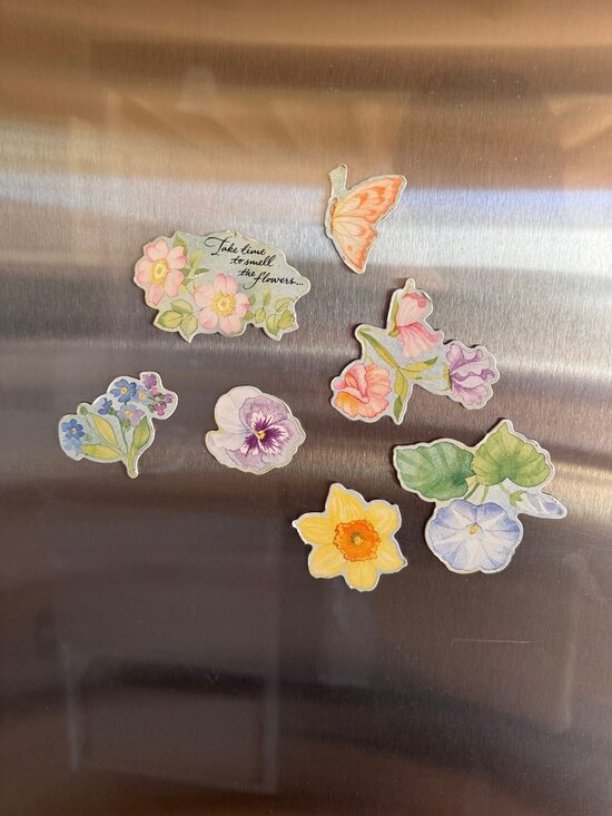 Unbranded Other - Vintage Floral Fridge Magnet Set - 8pc Watercolor Botanical & Butterfly